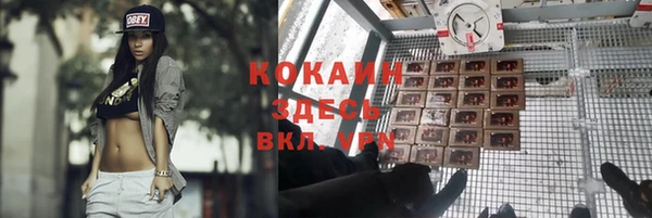гидропоника Семикаракорск