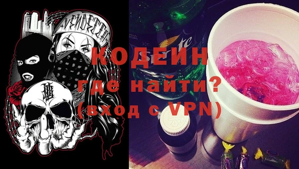 индика Ельня