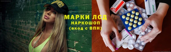 гидропоника Елабуга