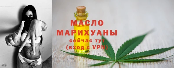 молекула духа Семилуки
