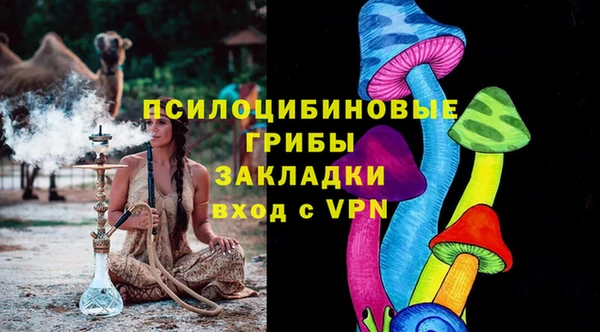 ешки Абаза
