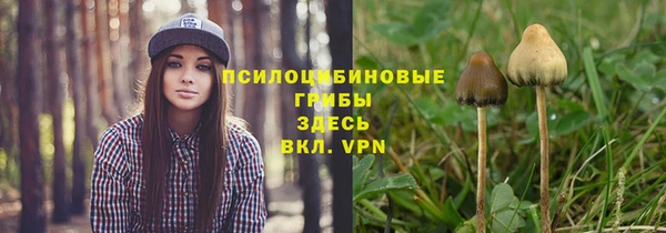 молекула духа Семилуки