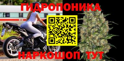 ПСИЛОЦИБИНОВЫЕ ГРИБЫ Балахна